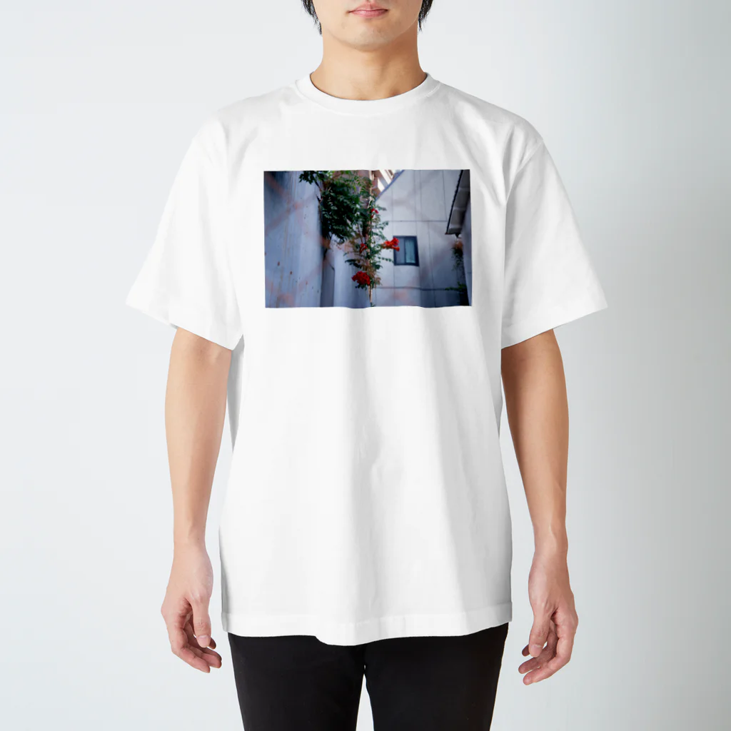 moromoroのhana_２ スタンダードTシャツ