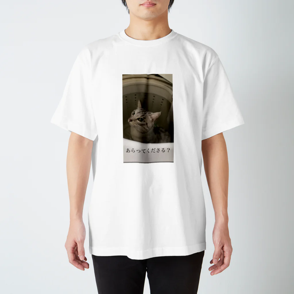 tamy  photoのどるちぇ　あらってくださる? スタンダードTシャツ