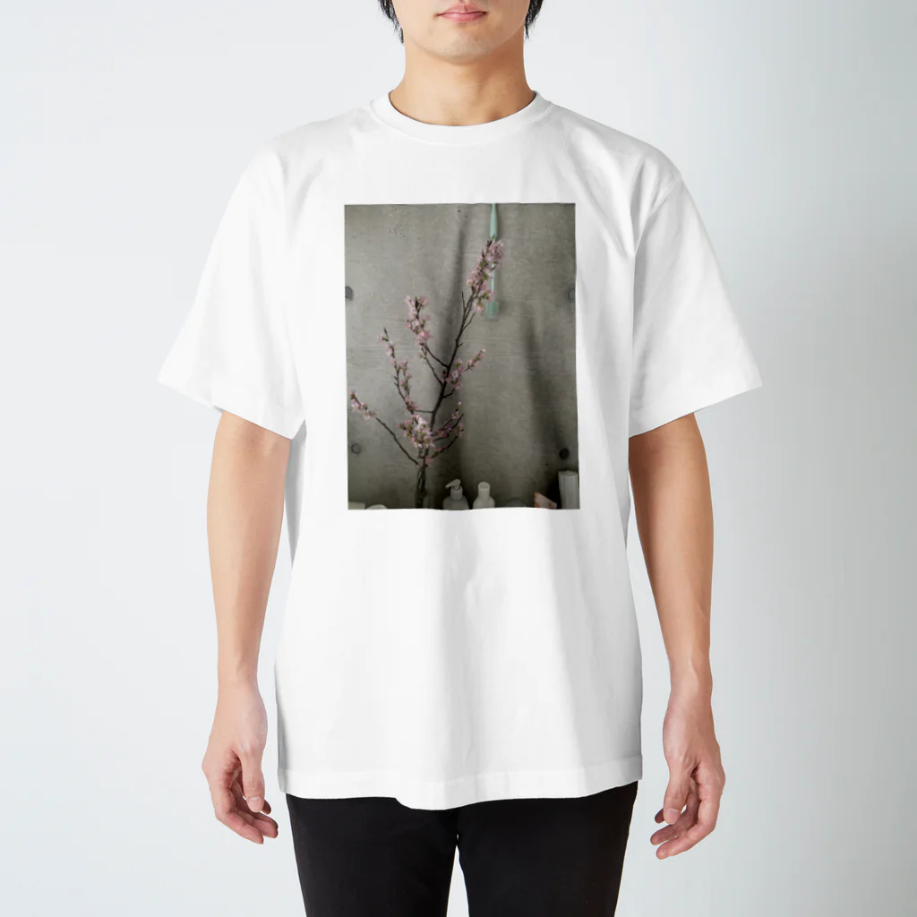 moeのあの日の桜 スタンダードTシャツ