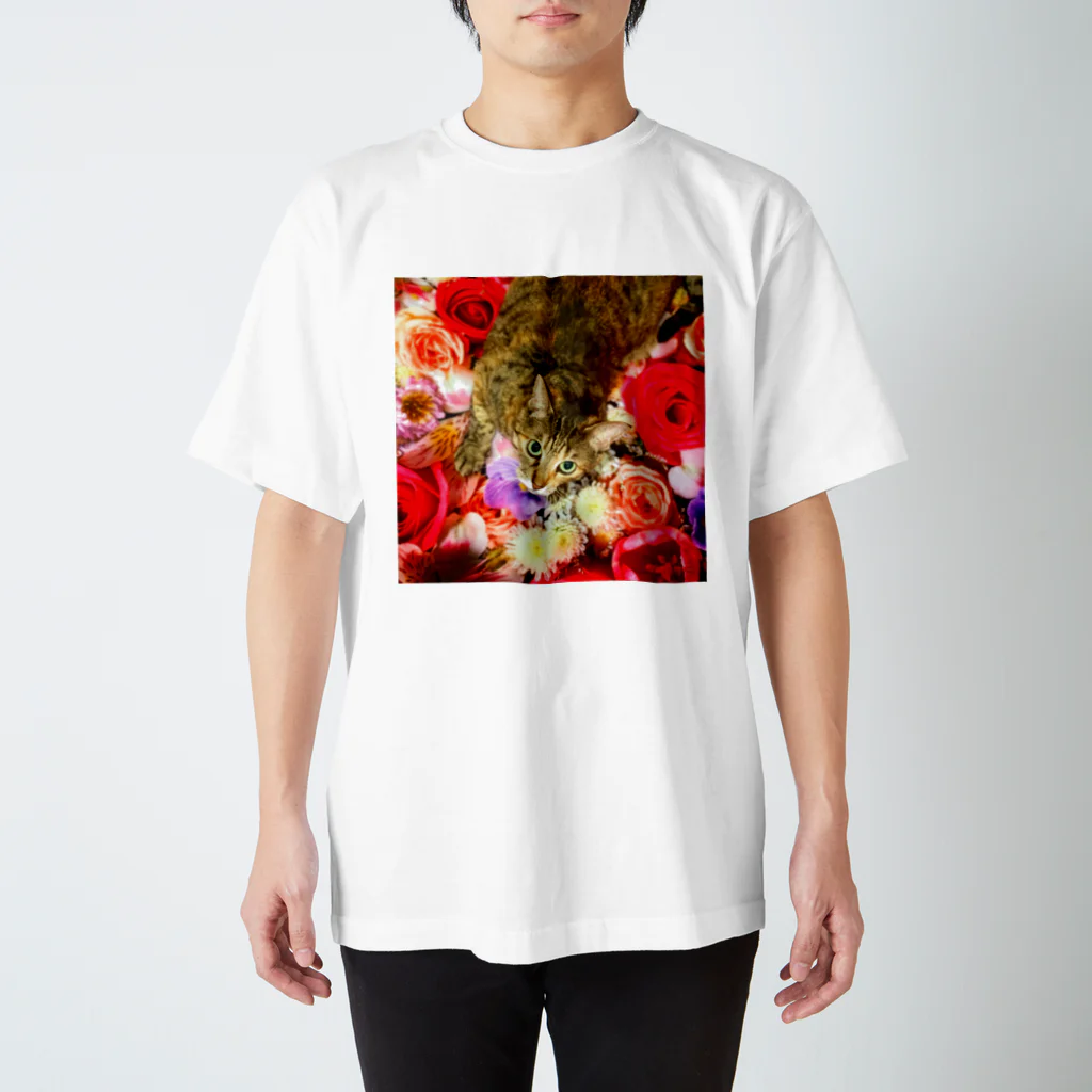 竹内秀明の花猫 スタンダードTシャツ