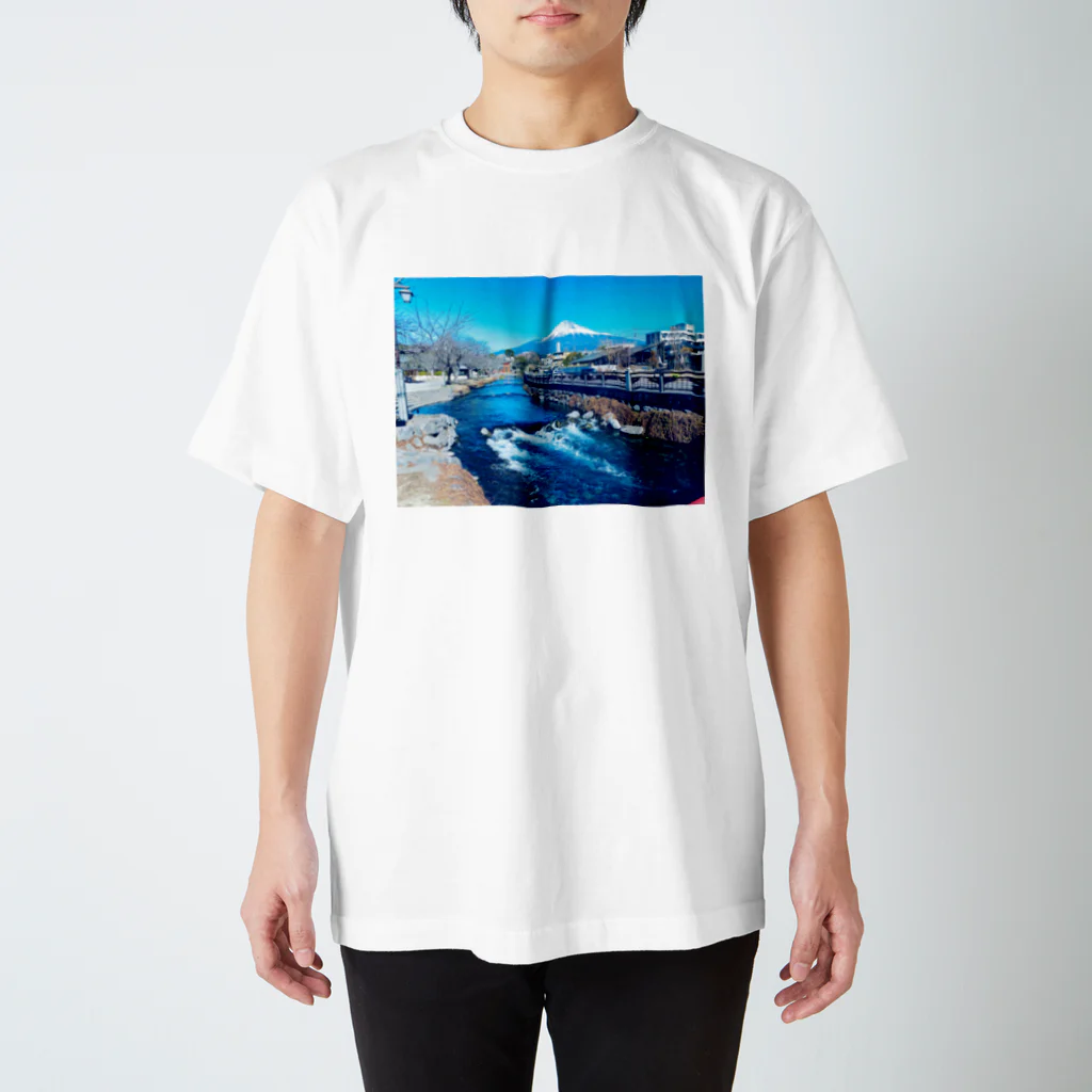 ppmの富士山 スタンダードTシャツ