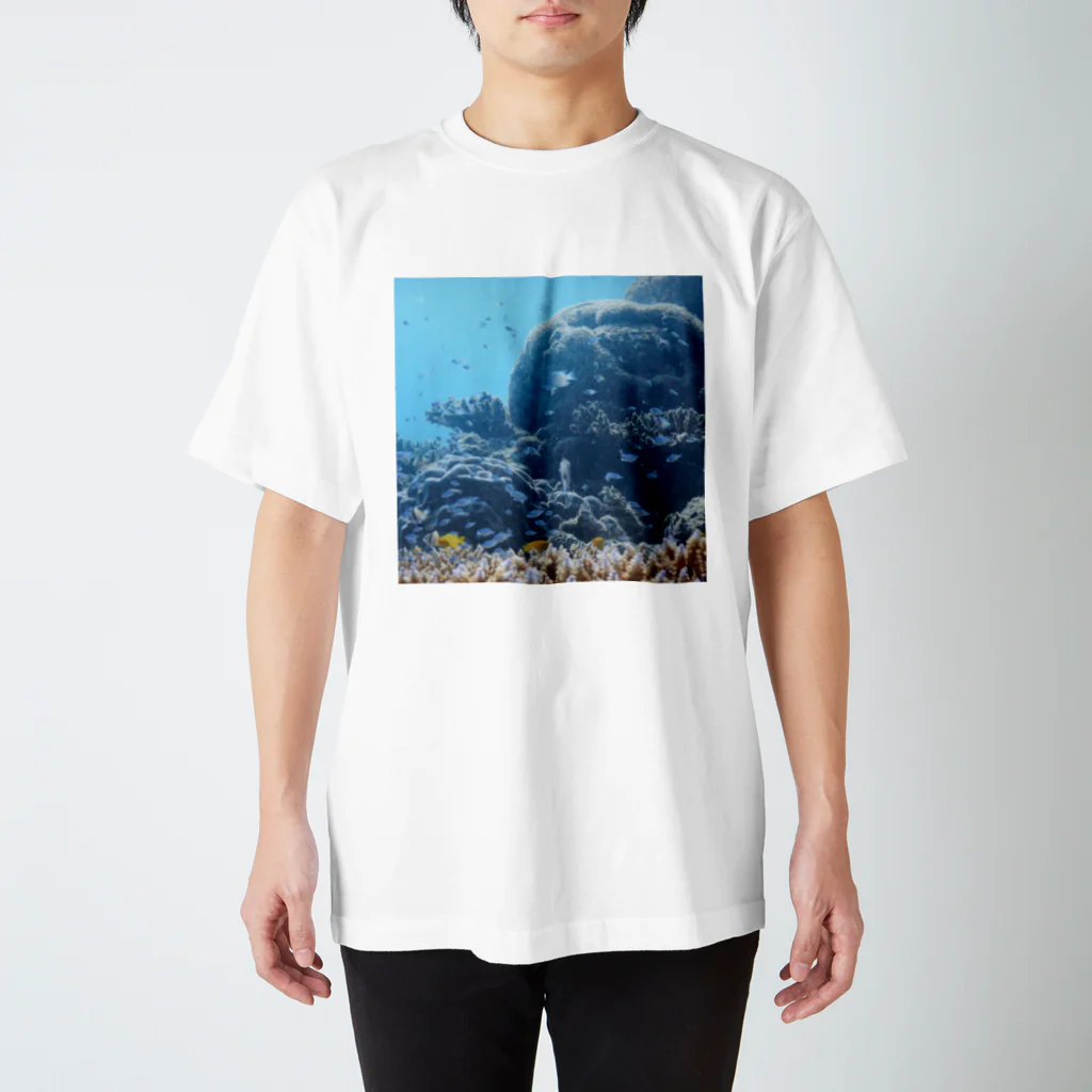 かなよ屋のuminonaka Regular Fit T-Shirt