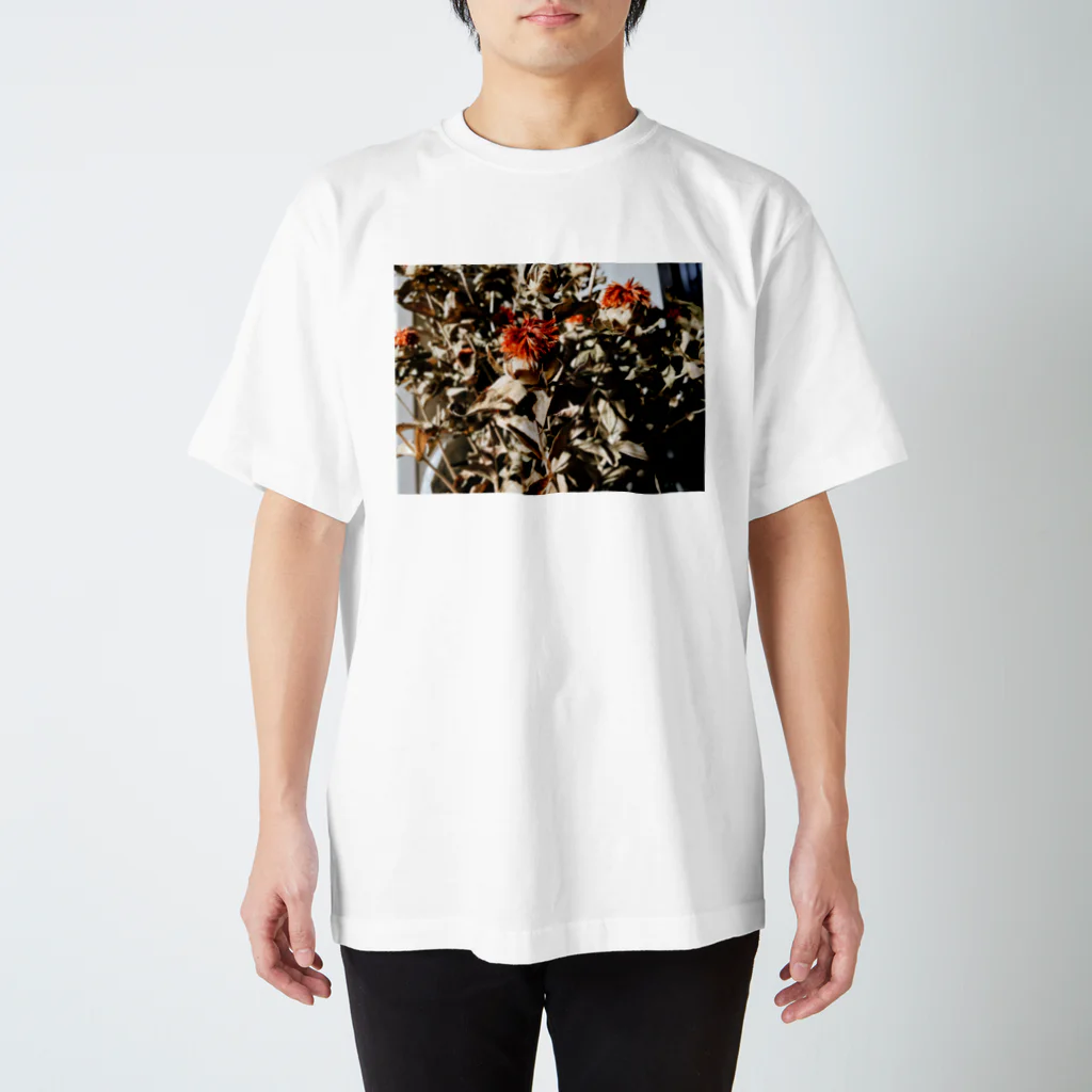 shindeyuku.のBeni flower スタンダードTシャツ