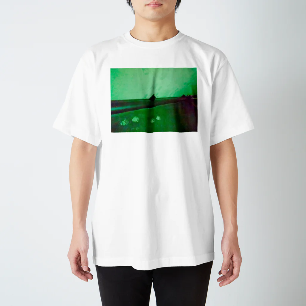 kaeruの洞窟 Regular Fit T-Shirt