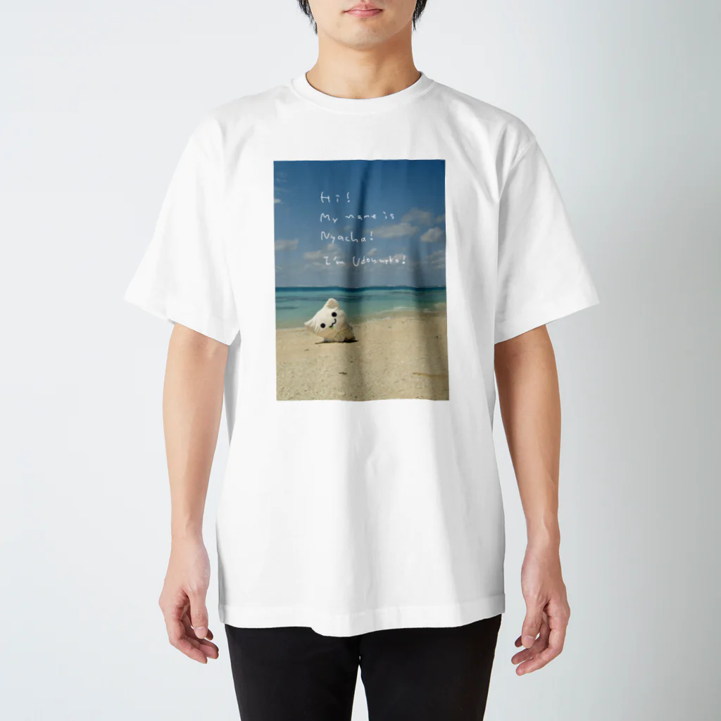 BOOCHA&NYACHAの海のやーつ スタンダードTシャツ