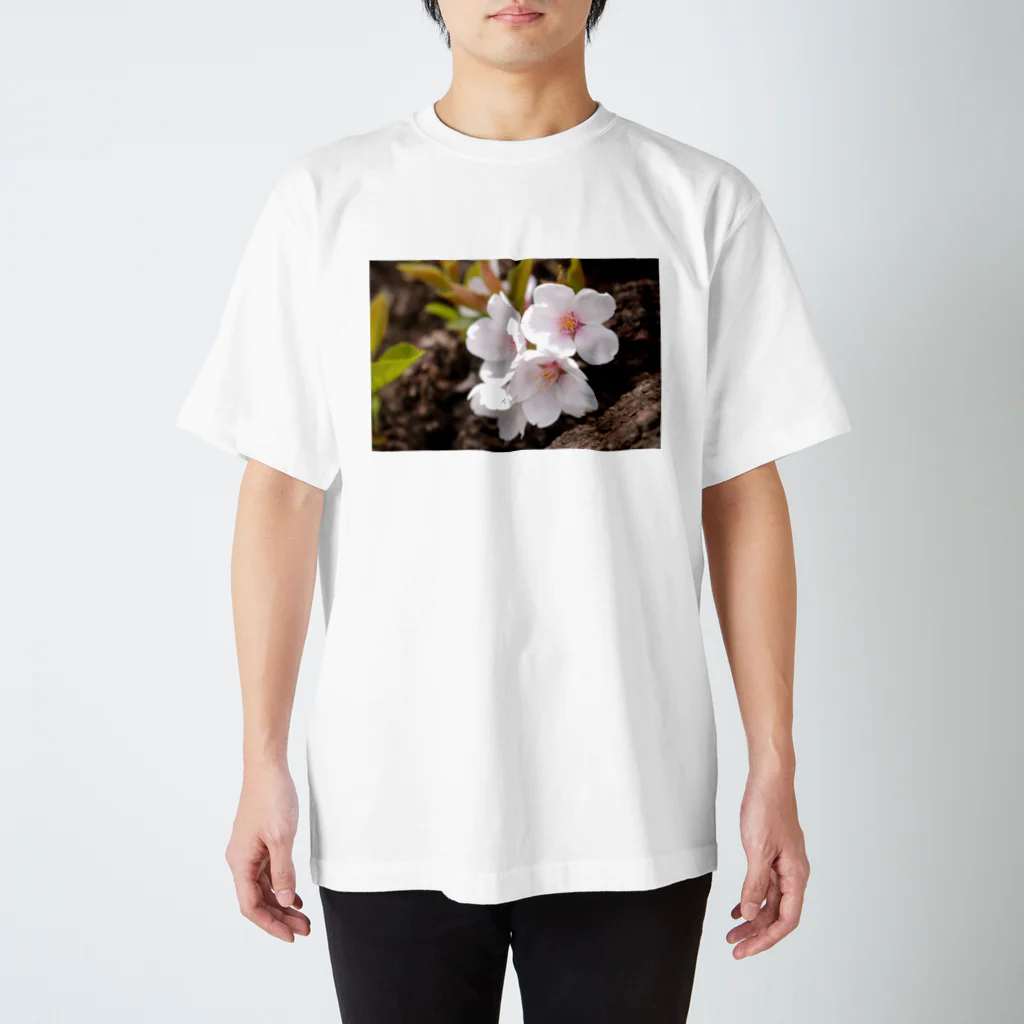 なかば の やんのさくら Regular Fit T-Shirt