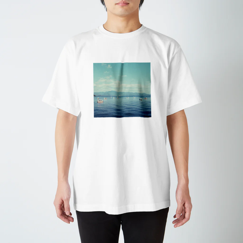 MeeeeeeEの白鳥の湖 スタンダードTシャツ