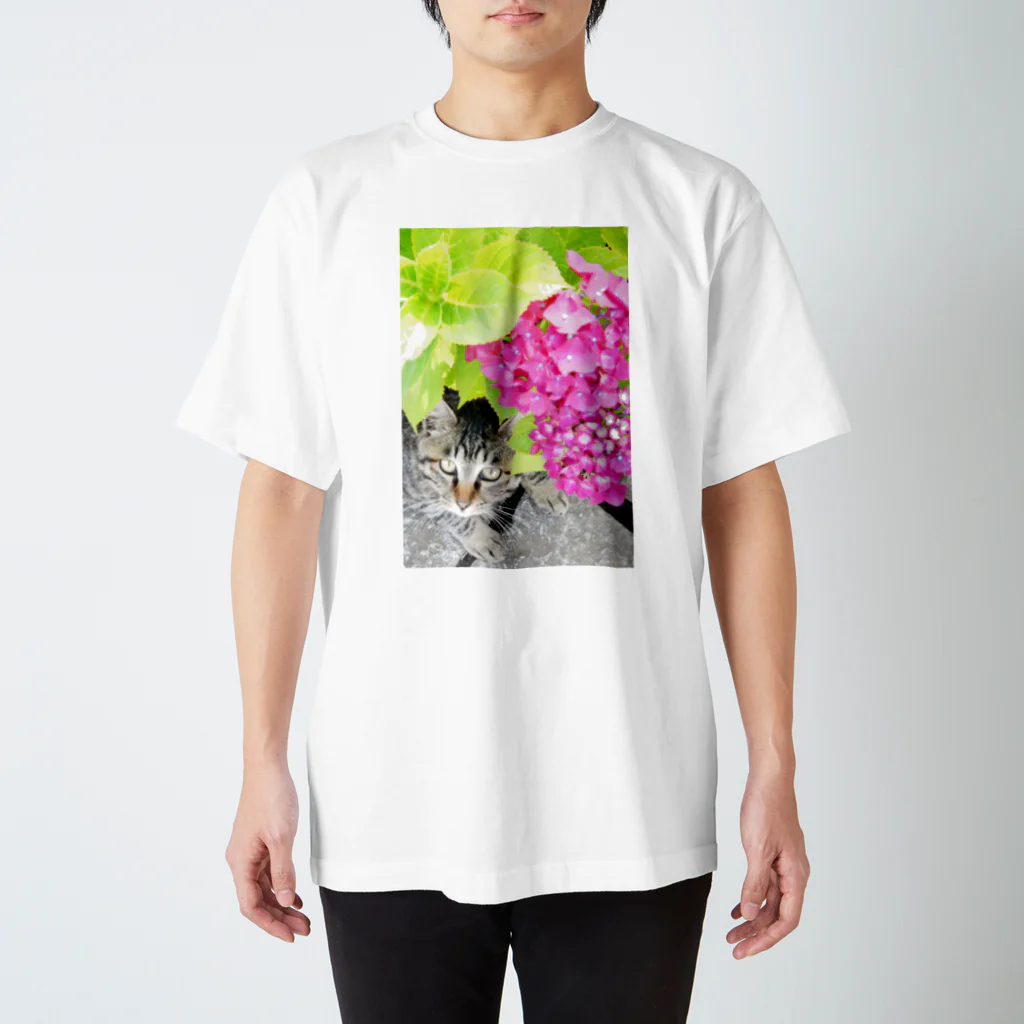 シッポ追いの猫写真店の夏もなお、つきぬ心の紫陽花の スタンダードTシャツ