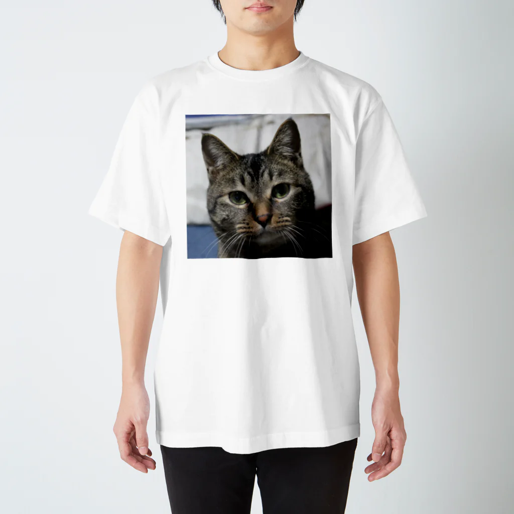 ねことらにゃんにゃん軍団のすまし顔 たぬきち スタンダードTシャツ