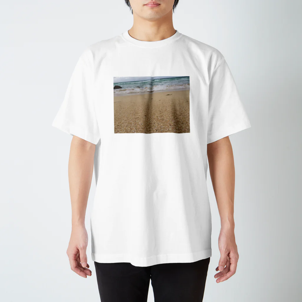 jyouitiのsurf Regular Fit T-Shirt