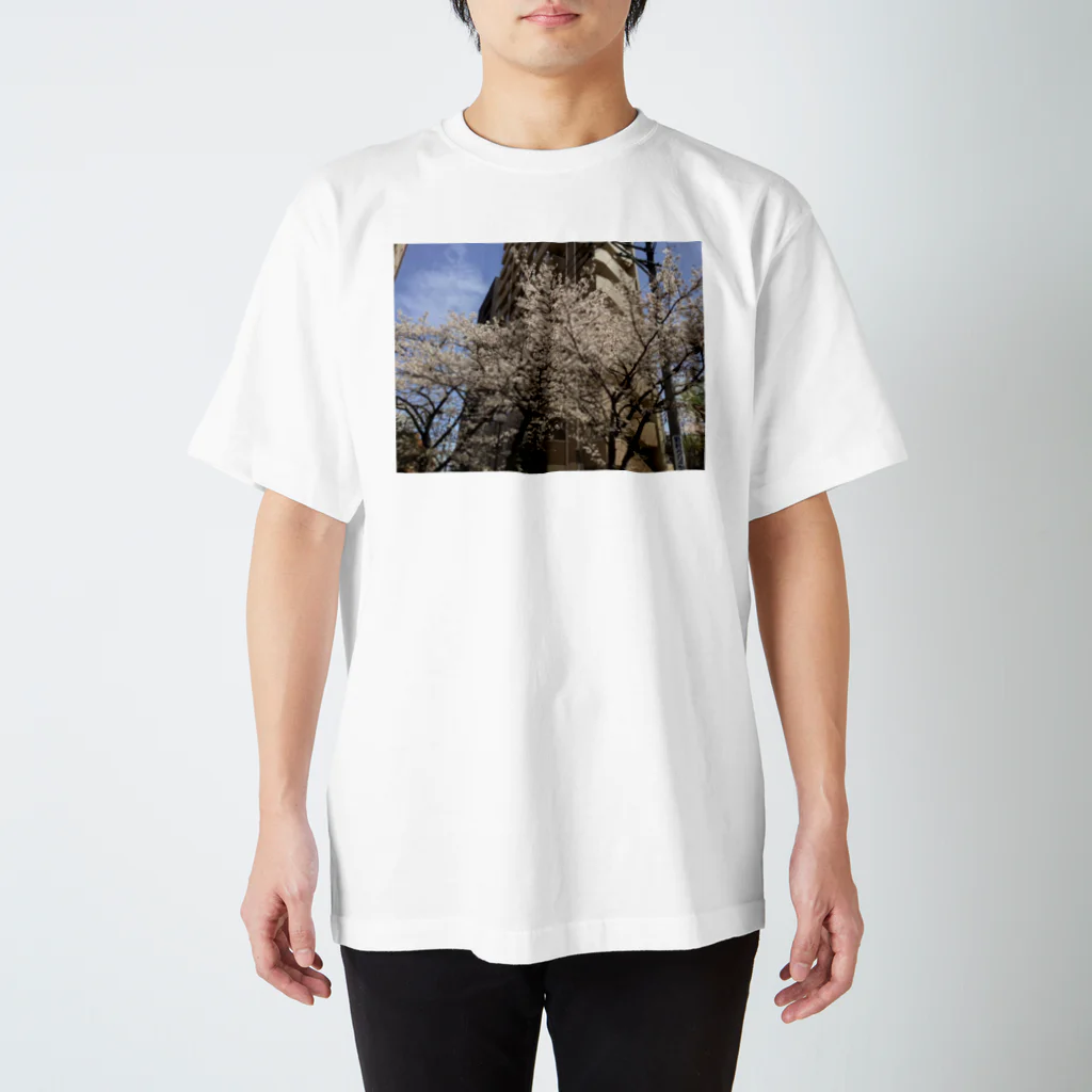 無軌道計画の桜の或る風景 スタンダードTシャツ