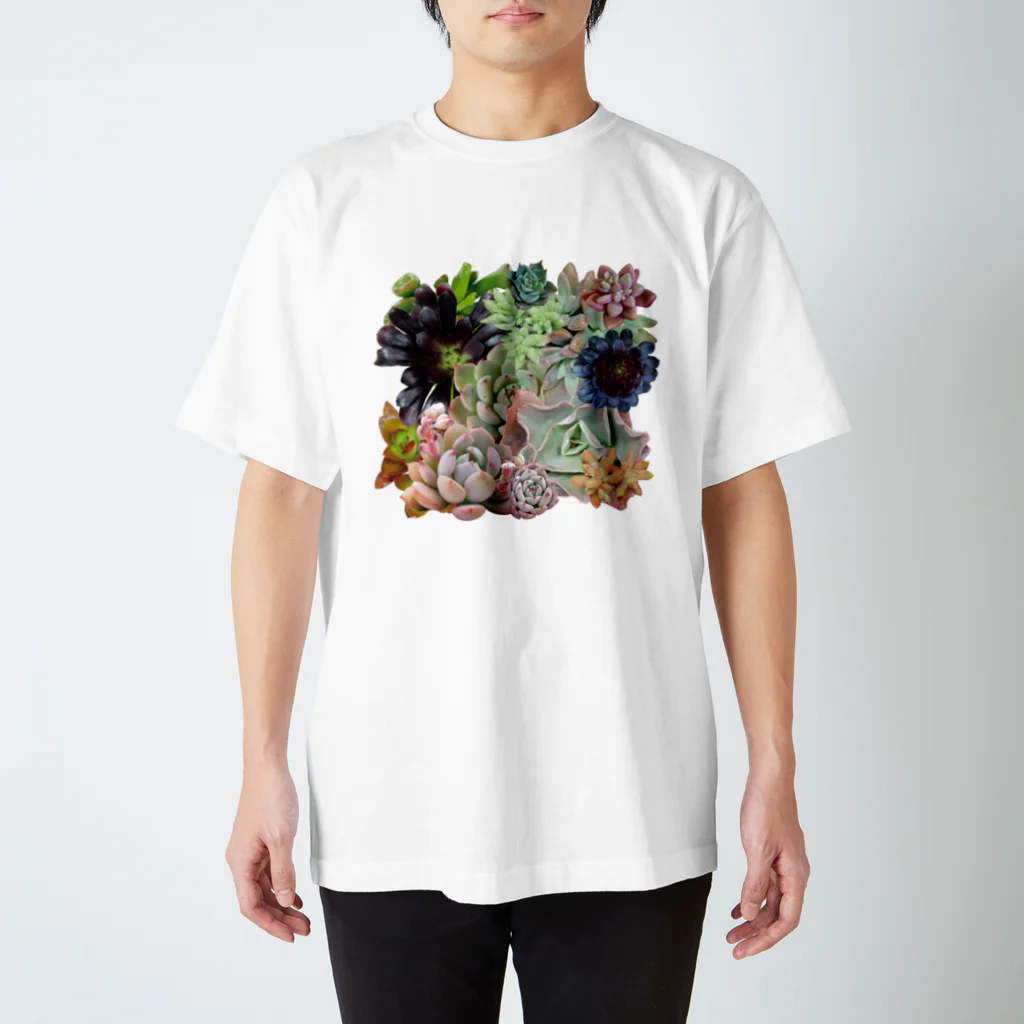 ひねもす屋　2号店の多肉植物 スタンダードTシャツ