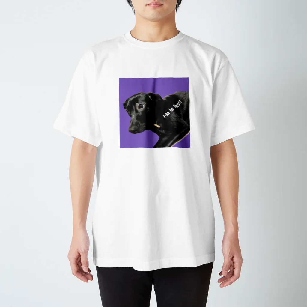 gdgdのわんわん Regular Fit T-Shirt