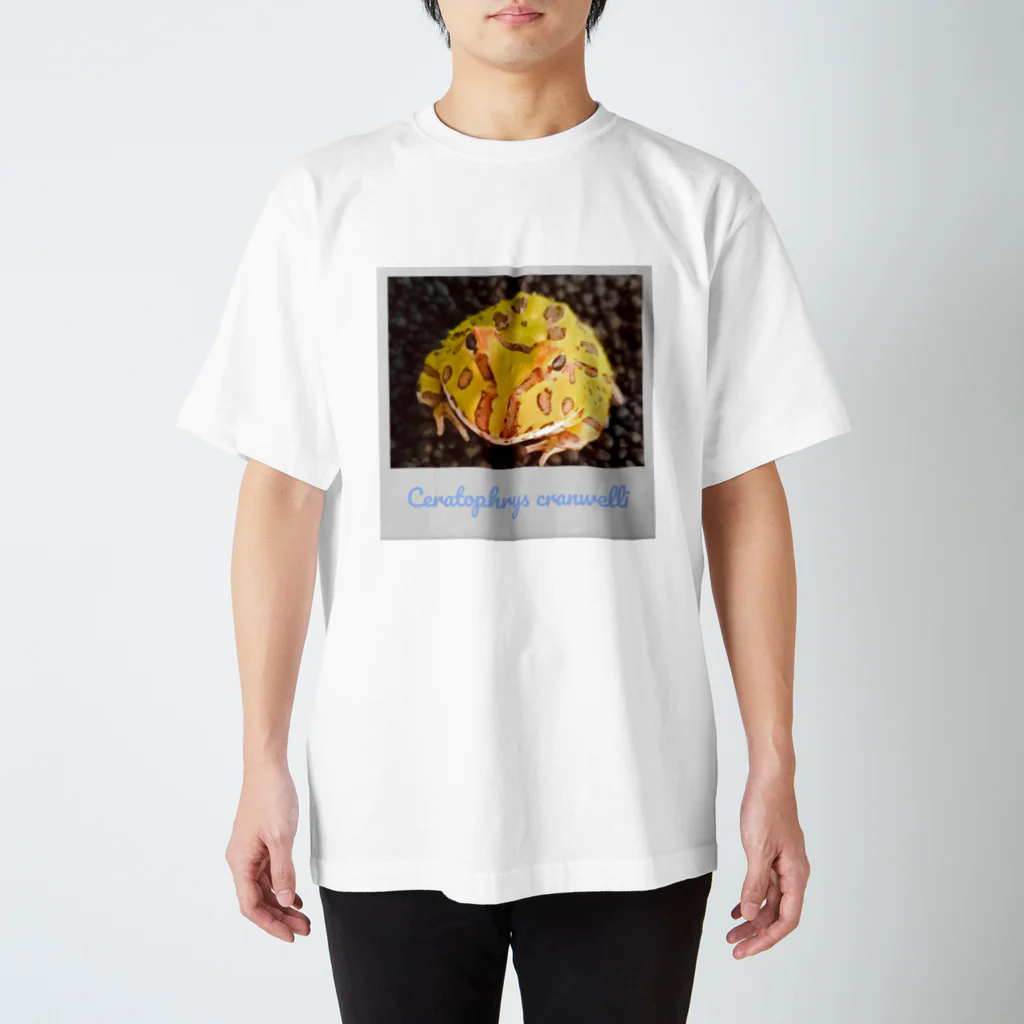 KokkotonakamatatiのCeratophrys cranwelli Regular Fit T-Shirt