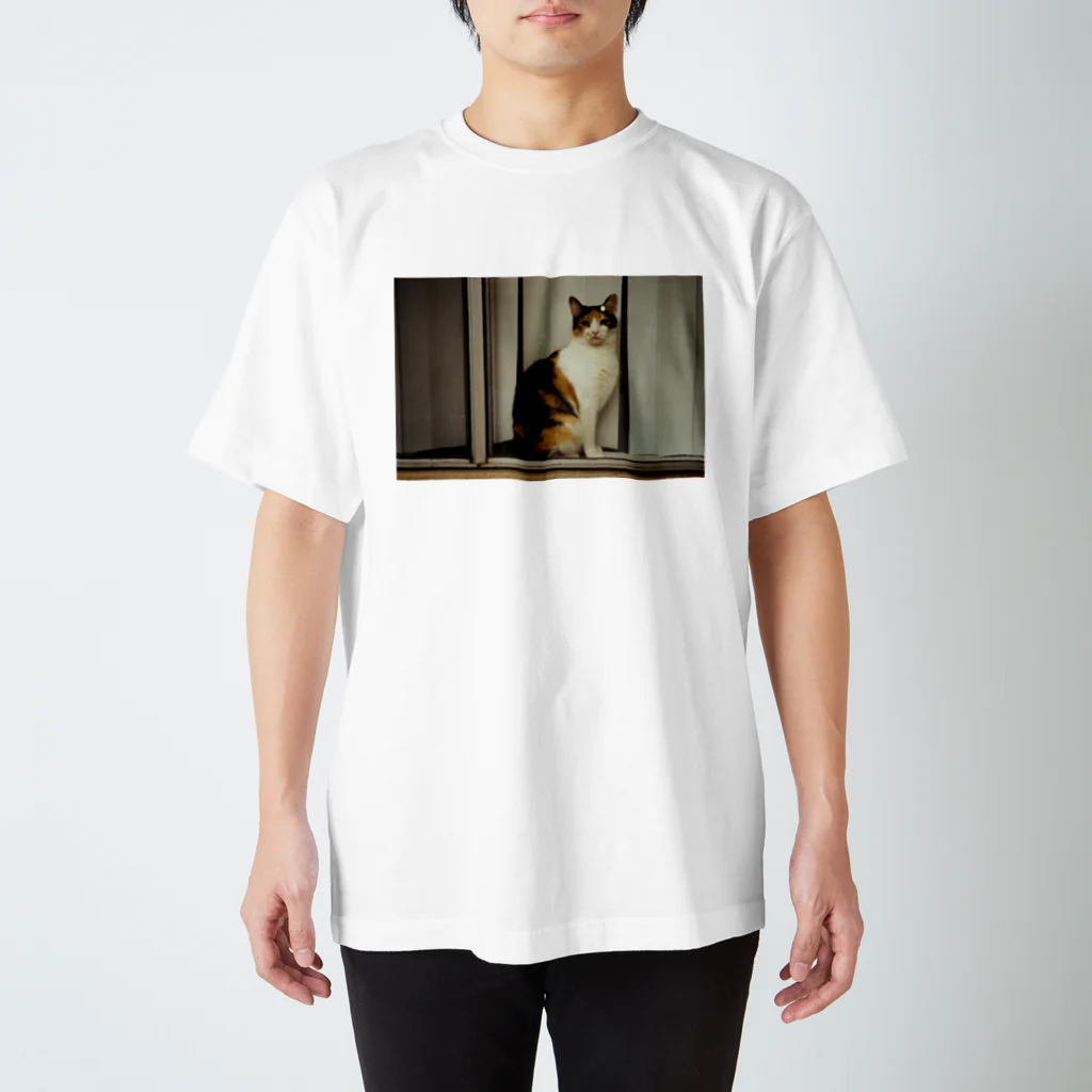 PALMLOVERSの猫のフォト スタンダードTシャツ