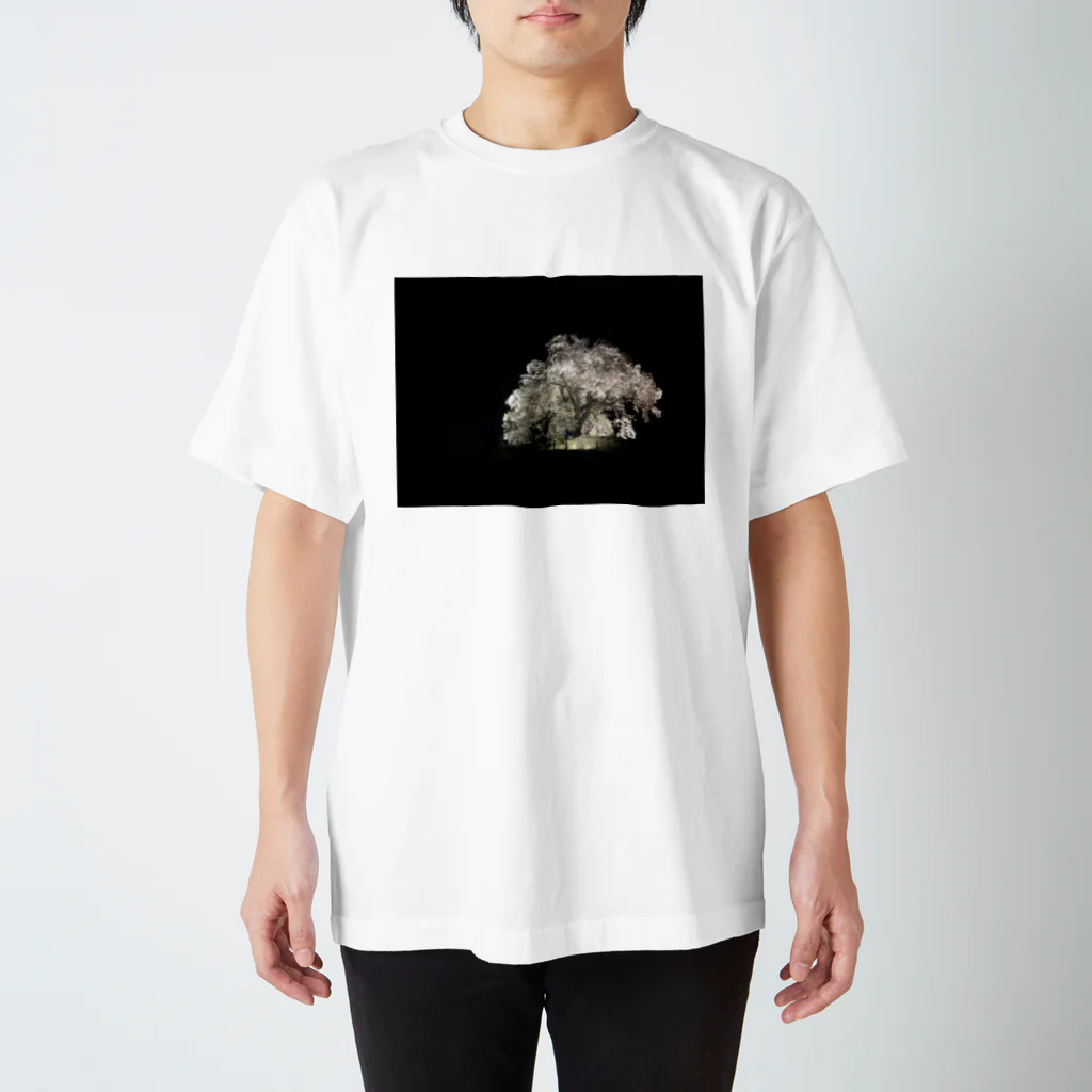 月華の夜桜 Regular Fit T-Shirt