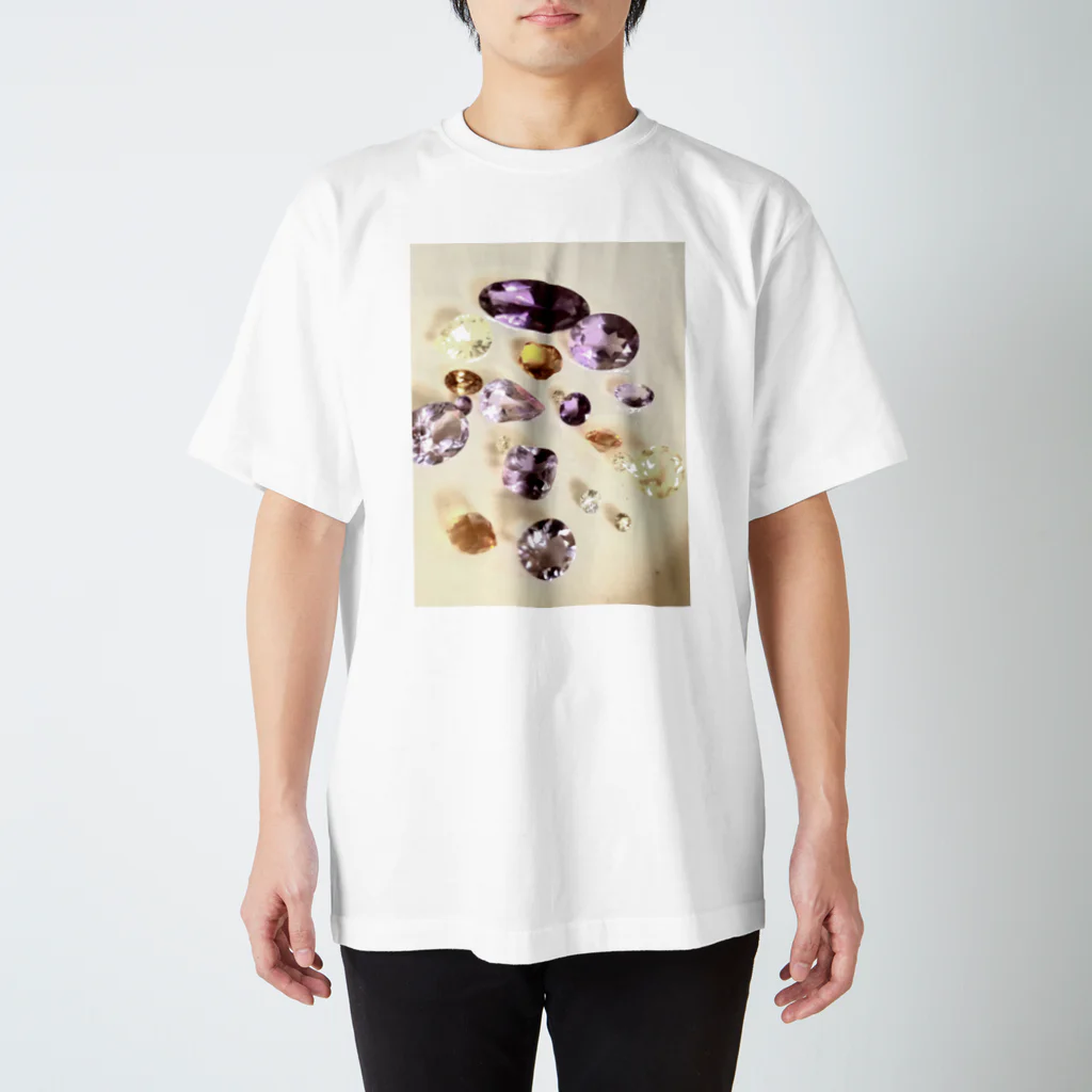 aquaroseの花霞・虎 スタンダードTシャツ