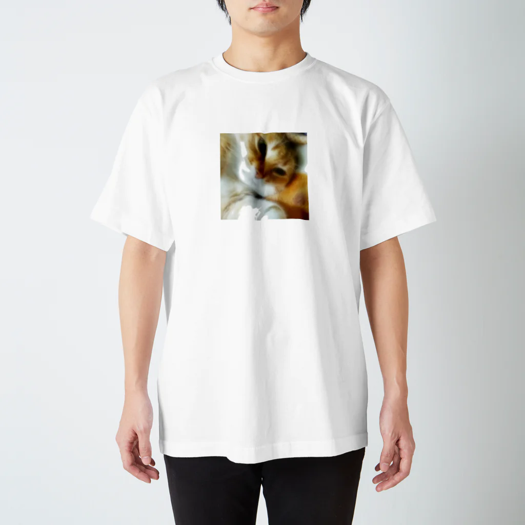 korokoro1968のもふもふ猫 Regular Fit T-Shirt