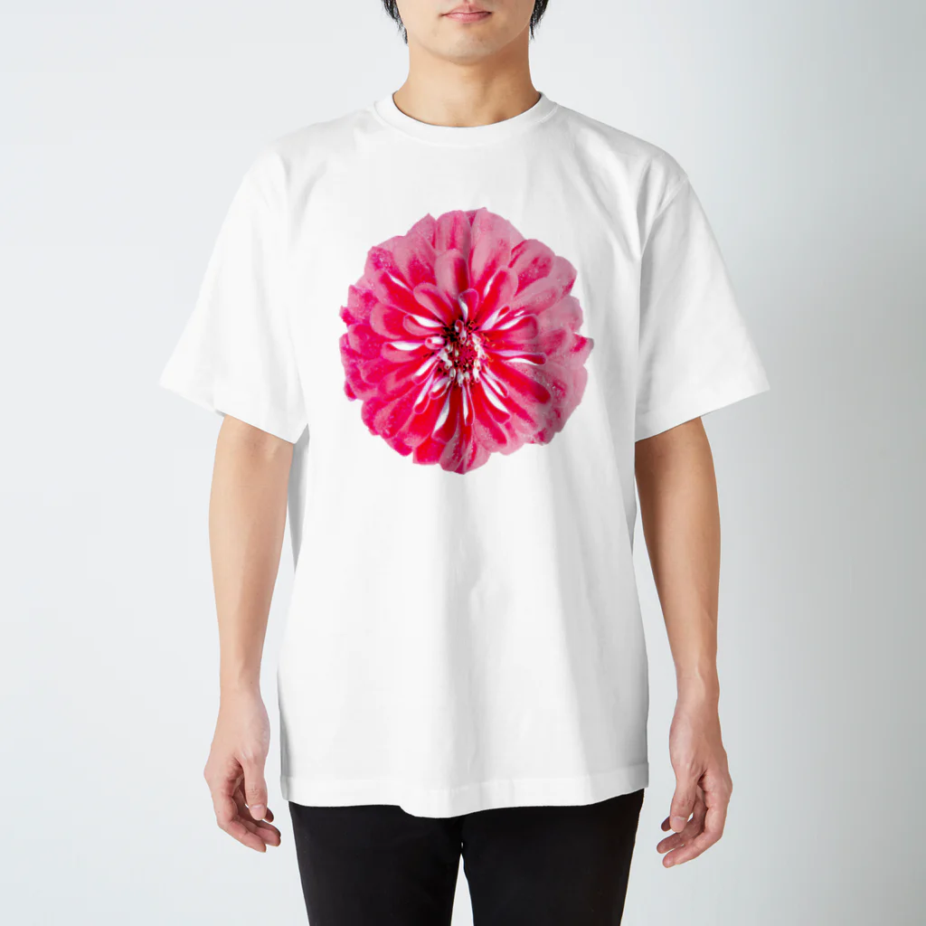 花水の花の紅いドレス Regular Fit T-Shirt