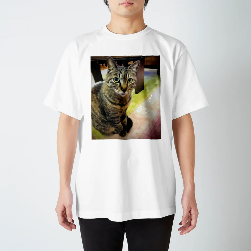 さざなみのわたしのねこ スタンダードTシャツ