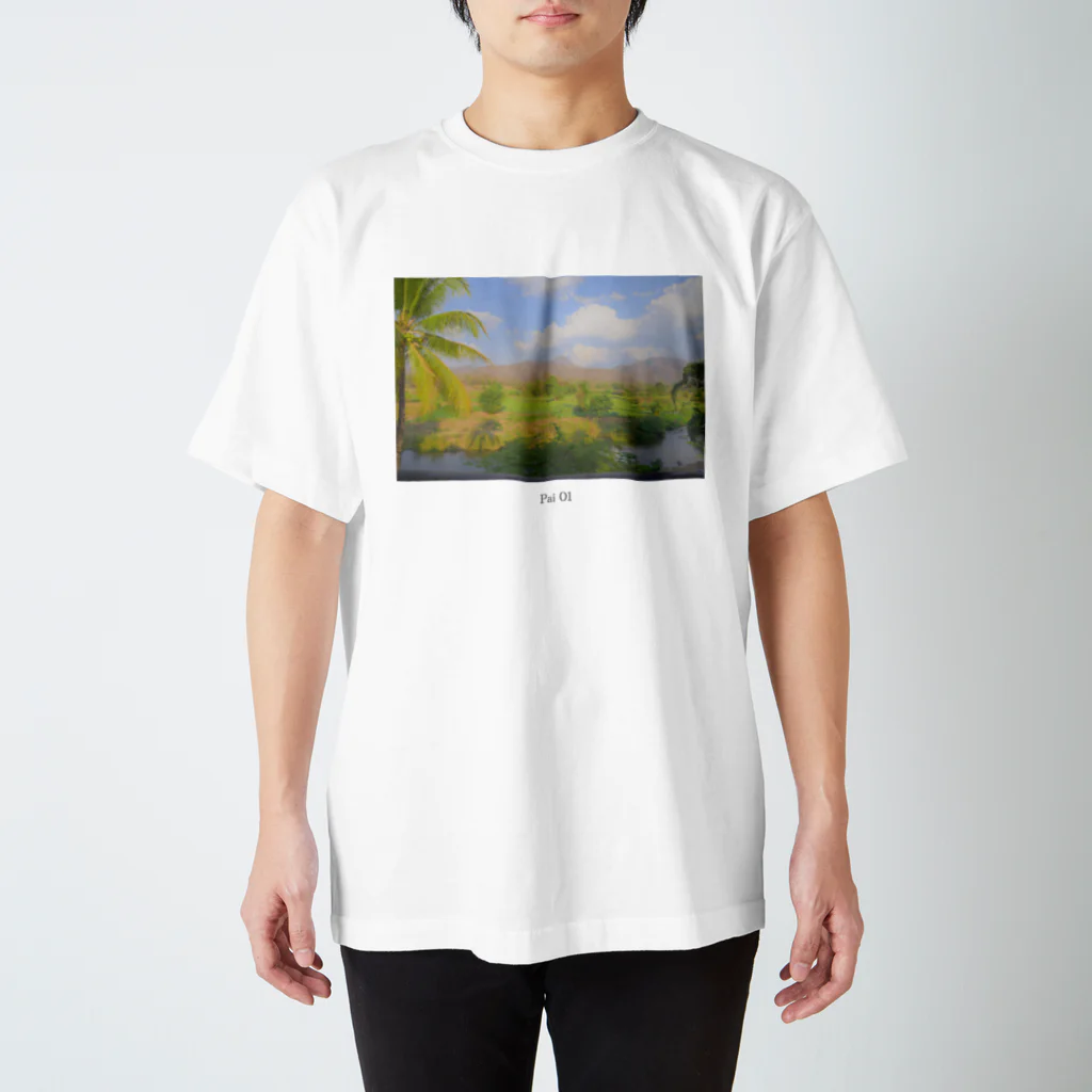 旅ごころのPai 01 / landscape スタンダードTシャツ