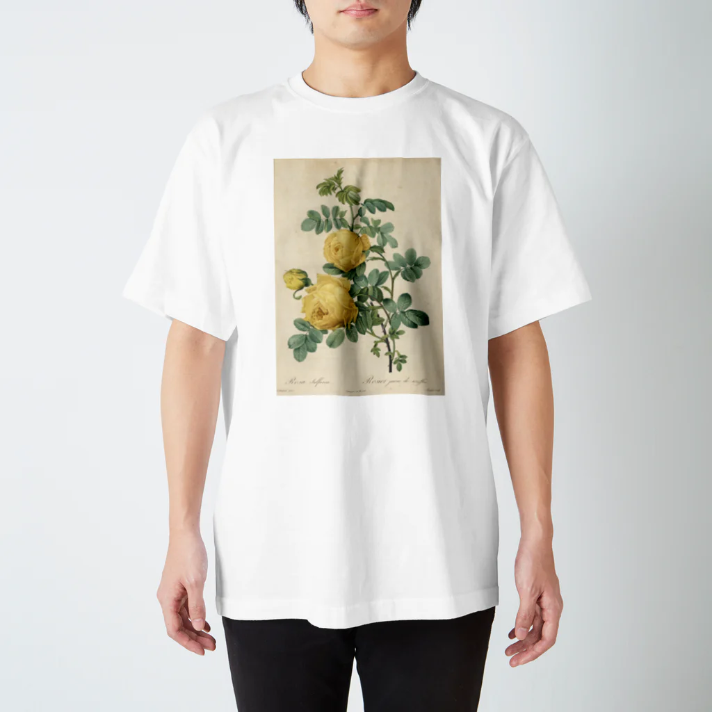 J. Jeffery Print Galleryのルドゥーテ「バラ図譜」 Regular Fit T-Shirt