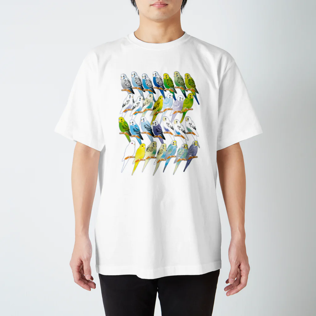 piyopiyobrandのセキセイインコいろいろ スタンダードTシャツ