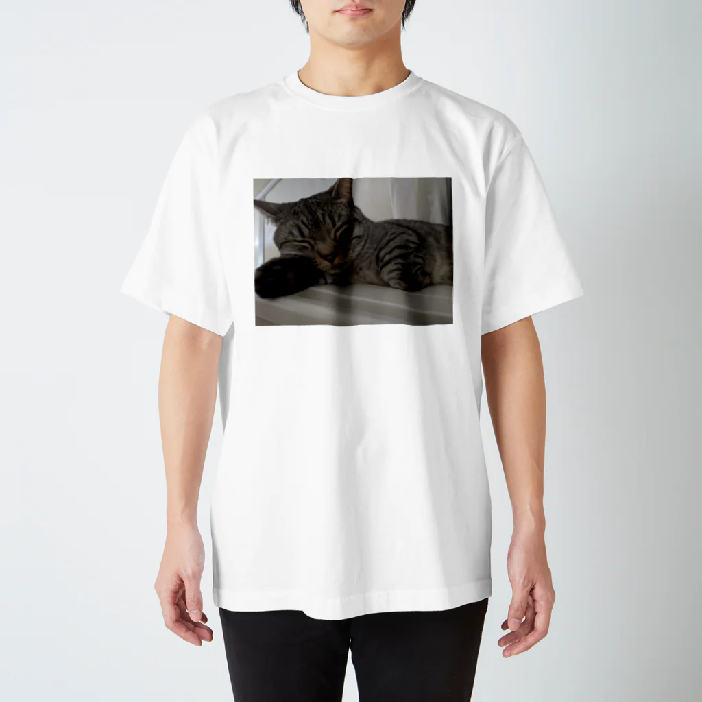 ひとみちゃんの猫ちゃんのおやすみ殿ちゃん Regular Fit T-Shirt