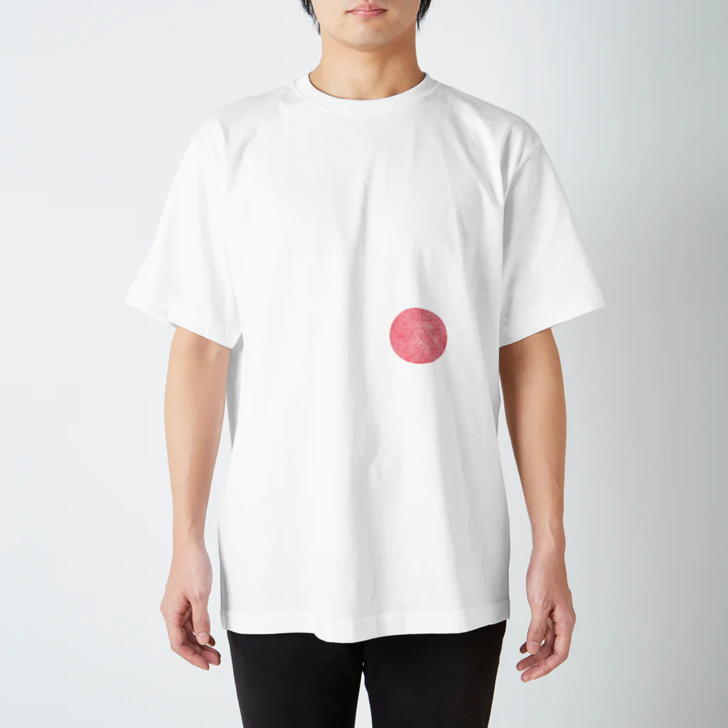 taigiの発生 Regular Fit T-Shirt