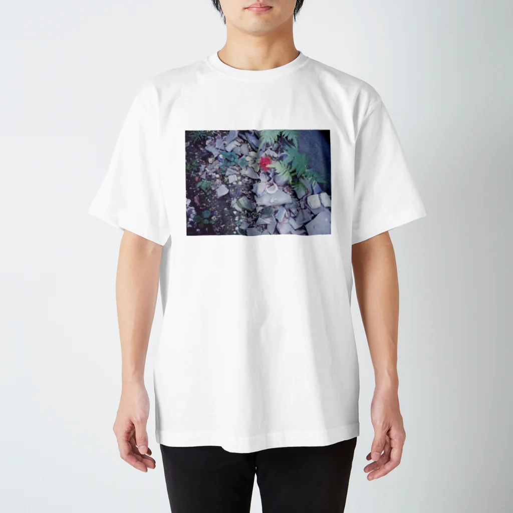 スイミントの裏庭の手錠 Regular Fit T-Shirt