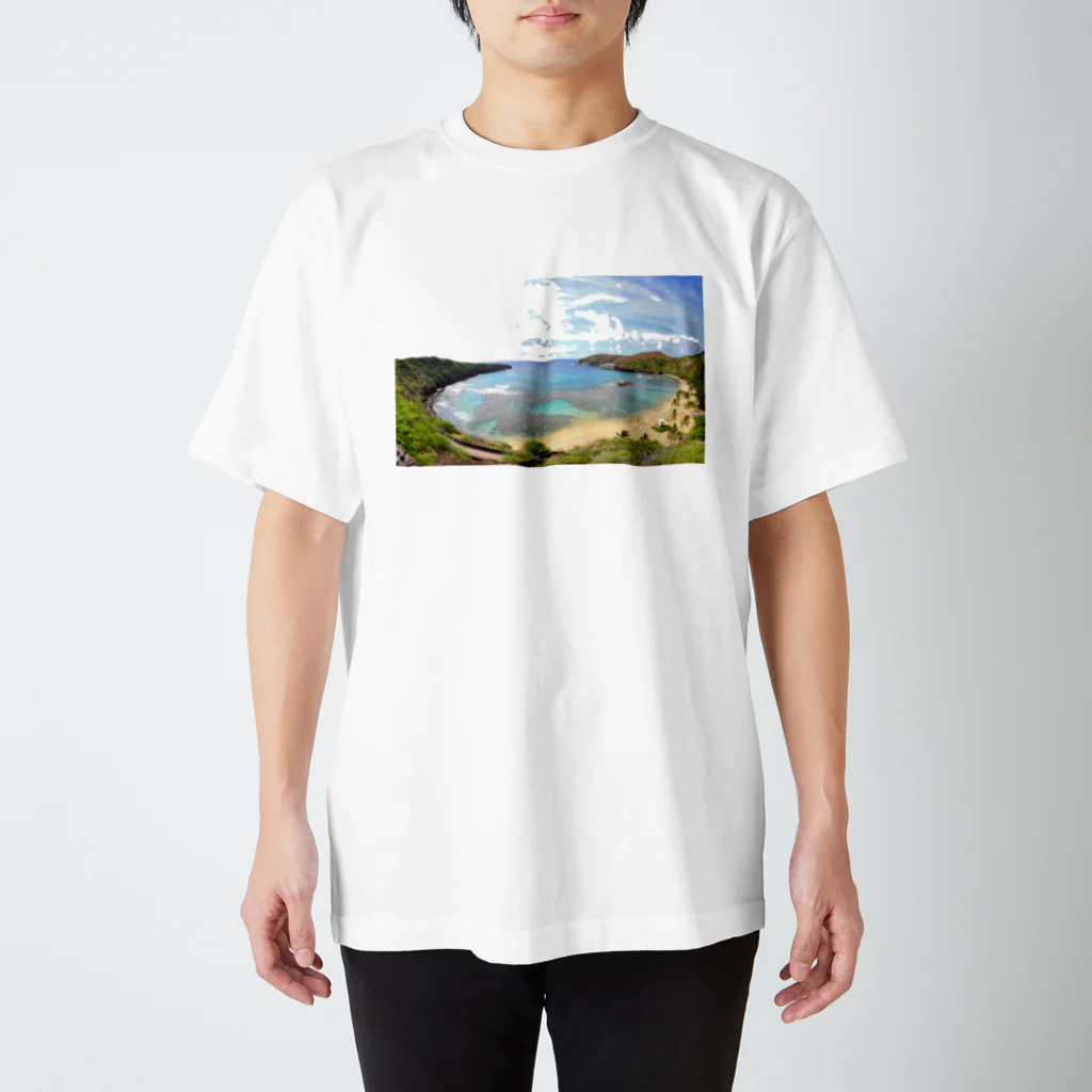 アロハスタイルハワイのハナウマ湾 スタンダードTシャツ