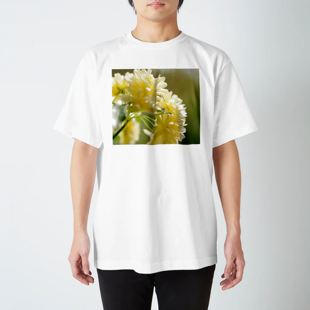 suparnaの木香薔薇　春 Regular Fit T-Shirt