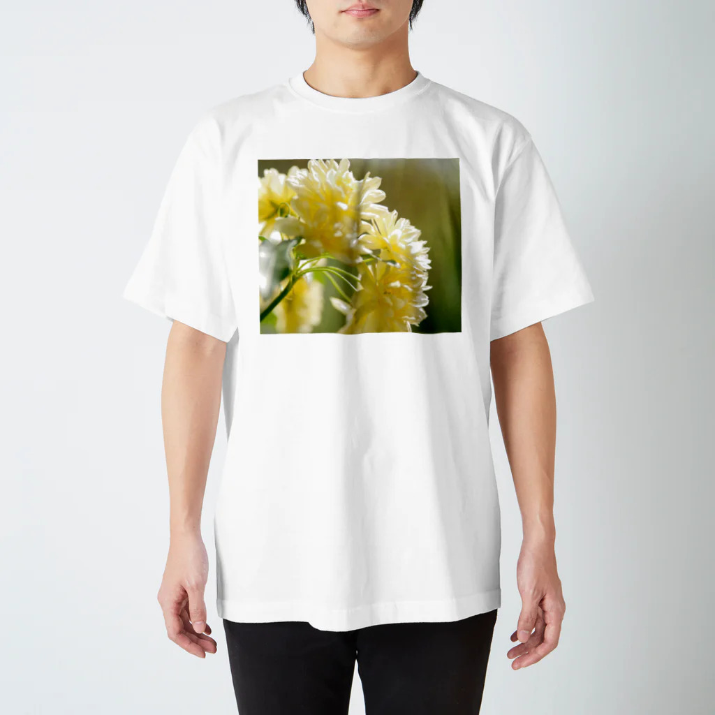 suparnaの木香薔薇　春 スタンダードTシャツ