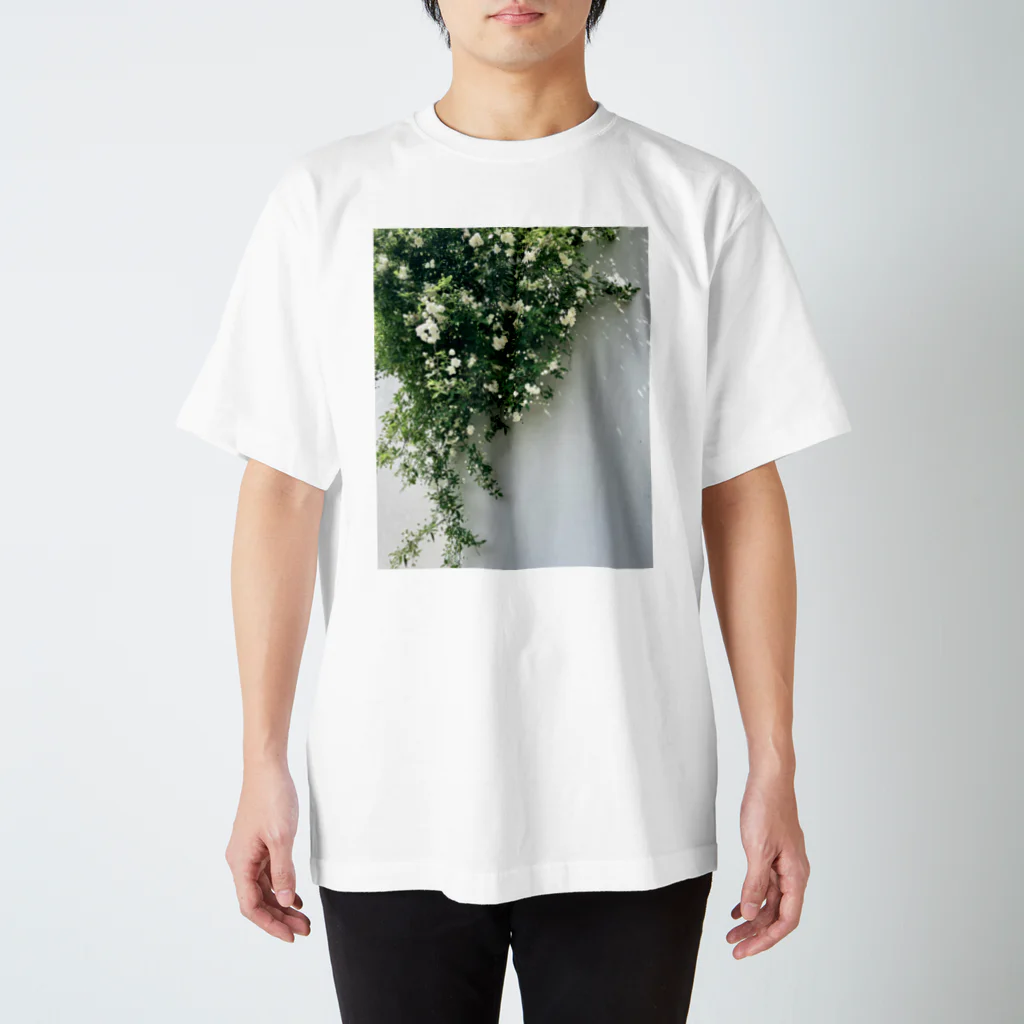 ampluieの木香薔薇 Regular Fit T-Shirt