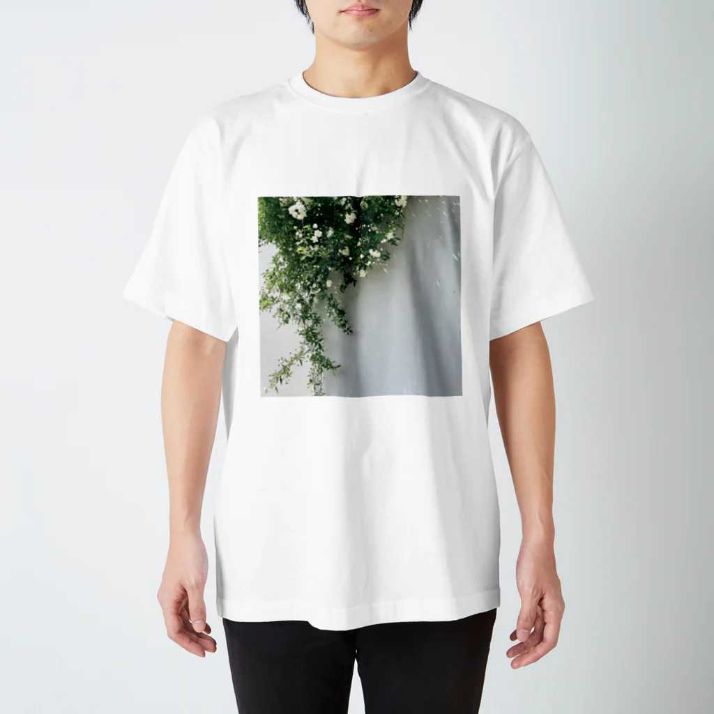 ampluieの木香薔薇 スタンダードTシャツ