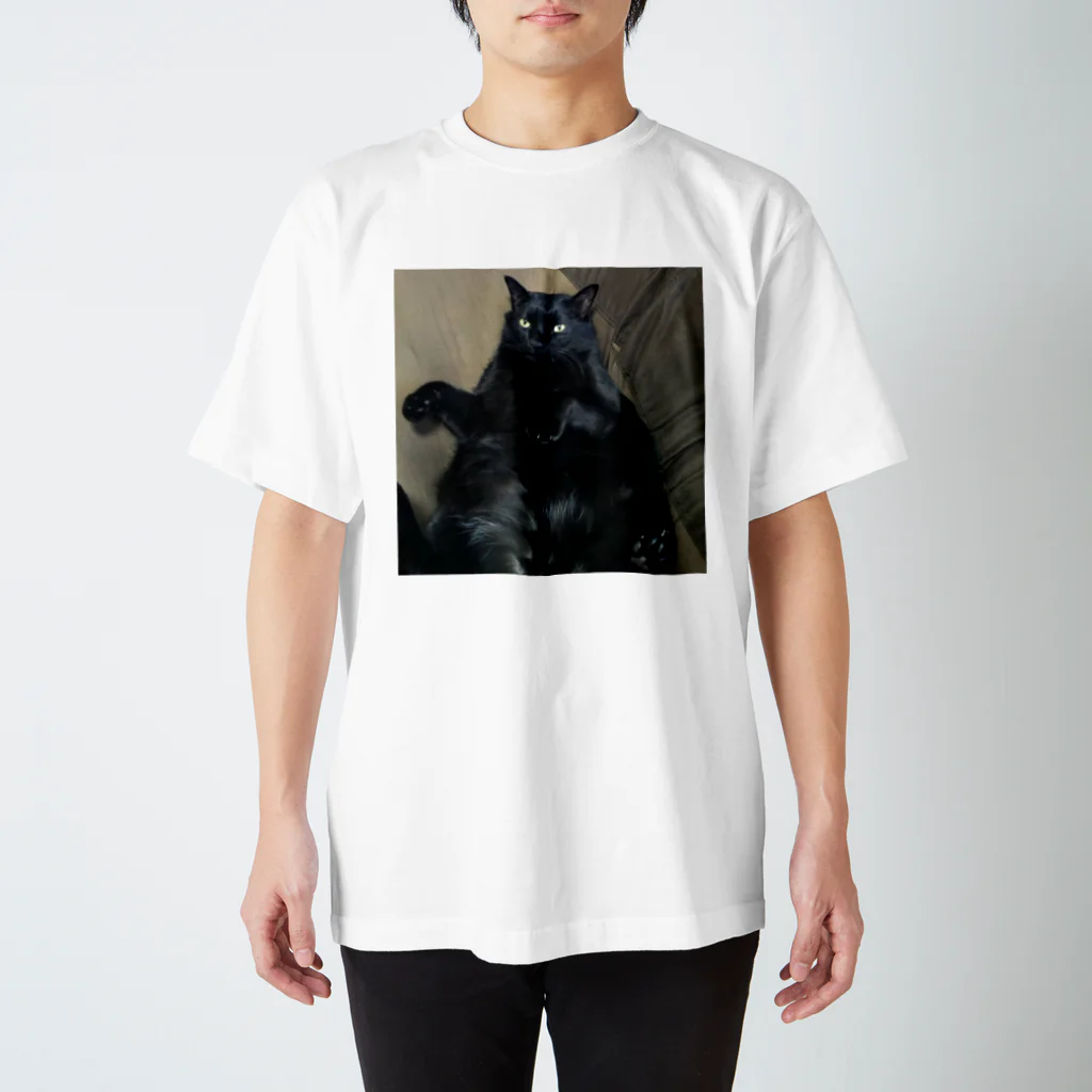 saachan1の神社にいた猫福ちゃん スタンダードTシャツ