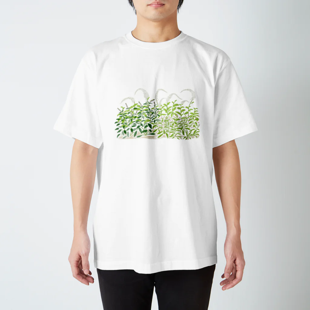 草原屋のクサハラ no１六甲山 スタンダードTシャツ