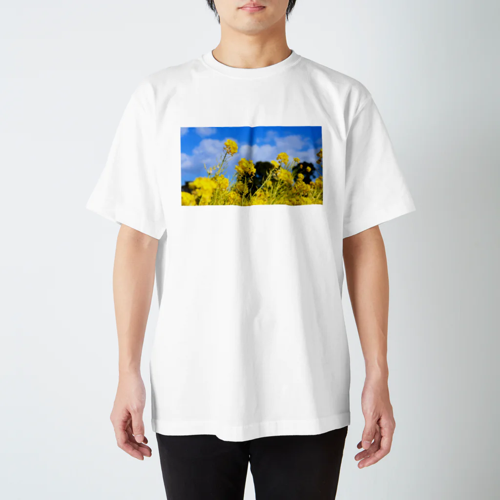 yujisato0514の九州の身近な景色 スタンダードTシャツ