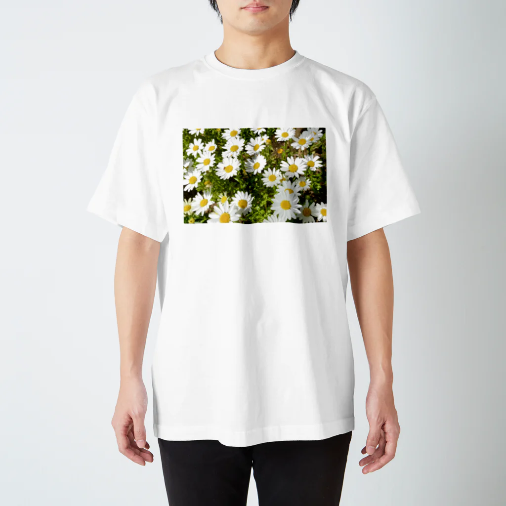 Design_850のspring スタンダードTシャツ