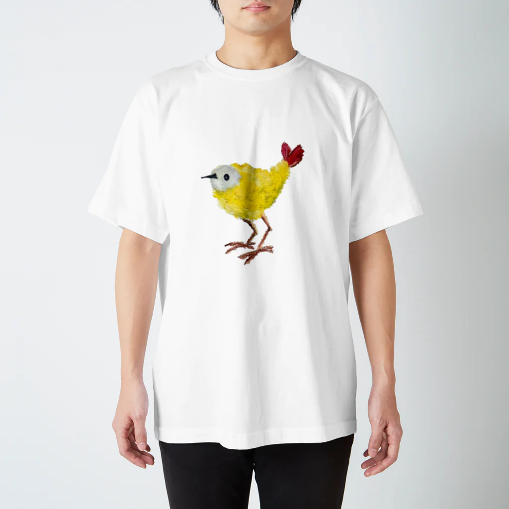 ヤヤナの鳥天ちゃん Regular Fit T-Shirt