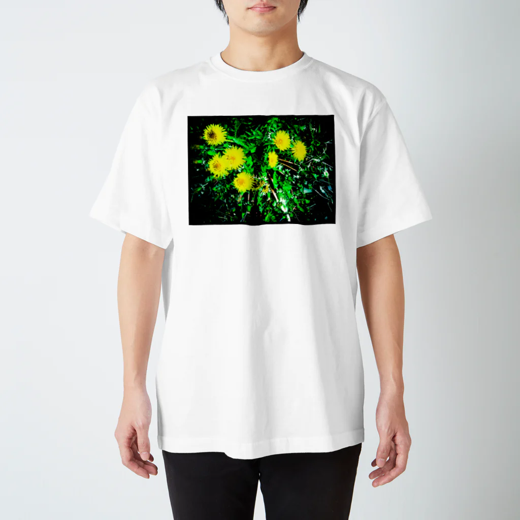 花水のたんぽぽ光 スタンダードTシャツ