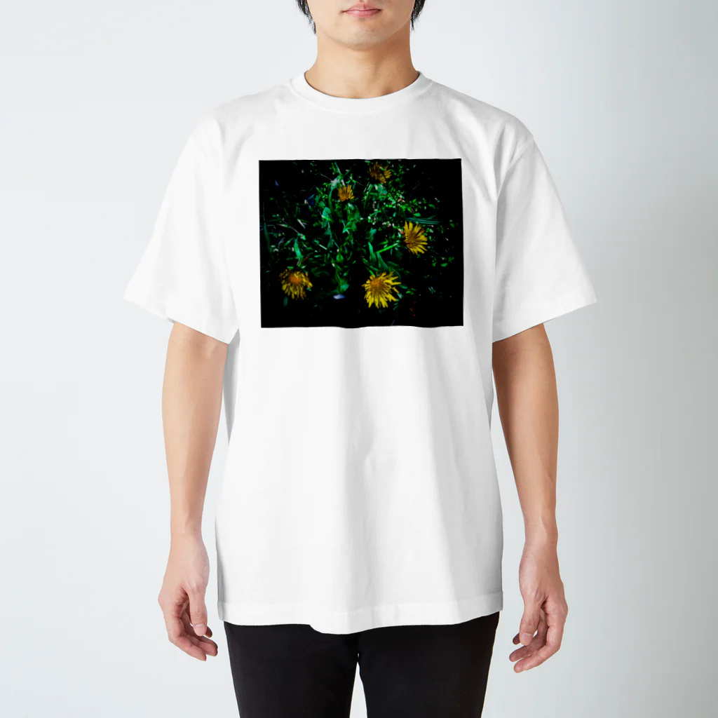 花水のたんぽぽ５ Regular Fit T-Shirt