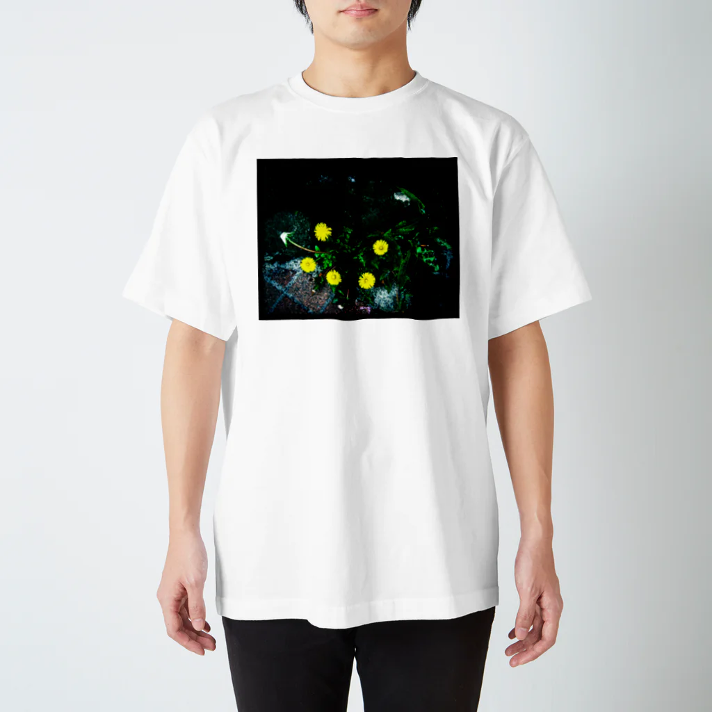 花水のたんぽぽ薄光 スタンダードTシャツ