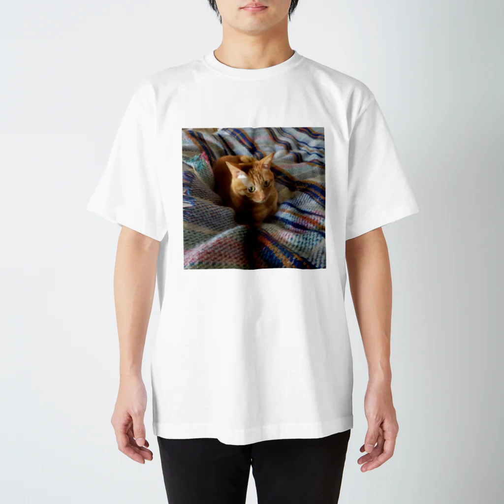 ごま猫の店のお布団大好きごま Regular Fit T-Shirt