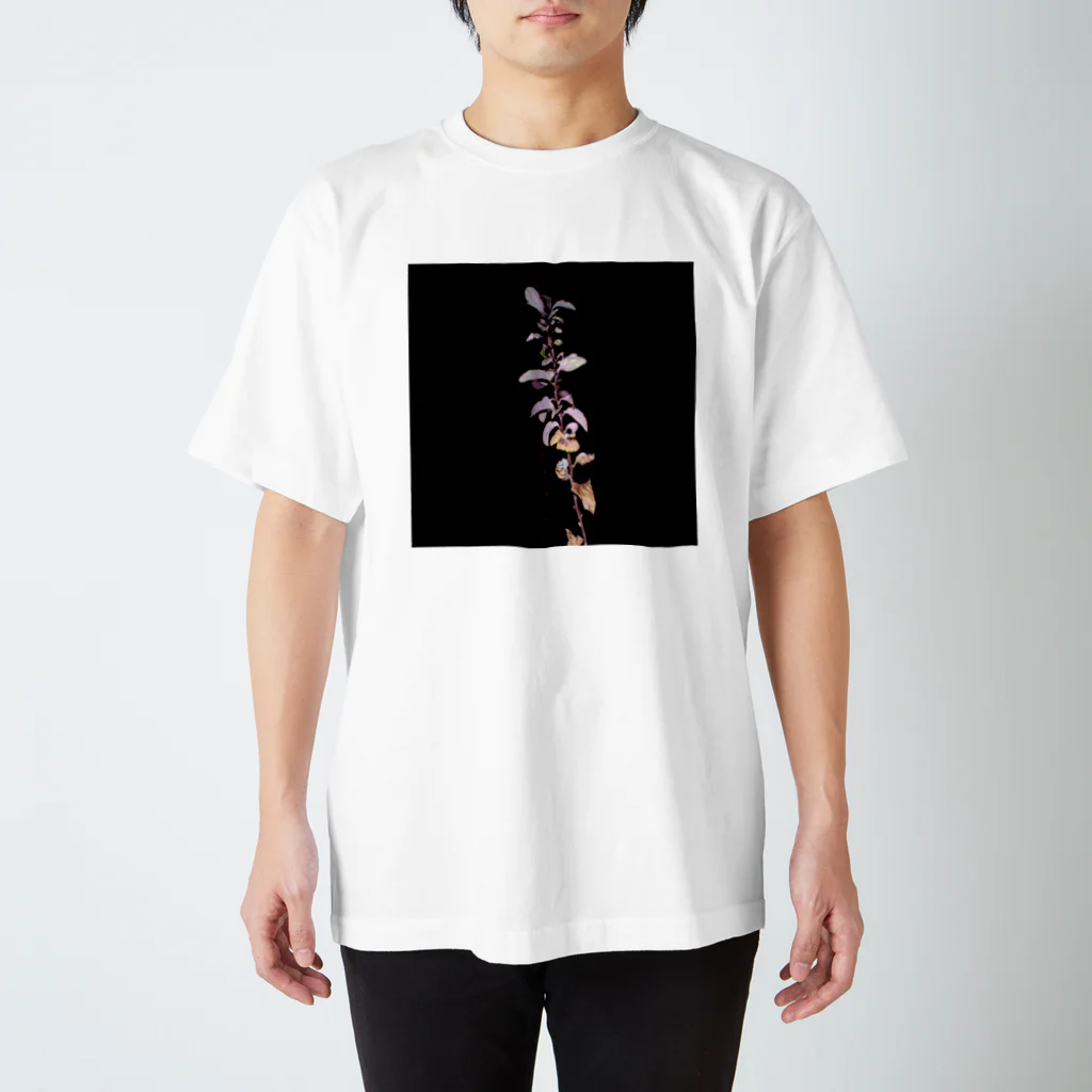 写真工房「瞬」の植物の写真2 スタンダードTシャツ