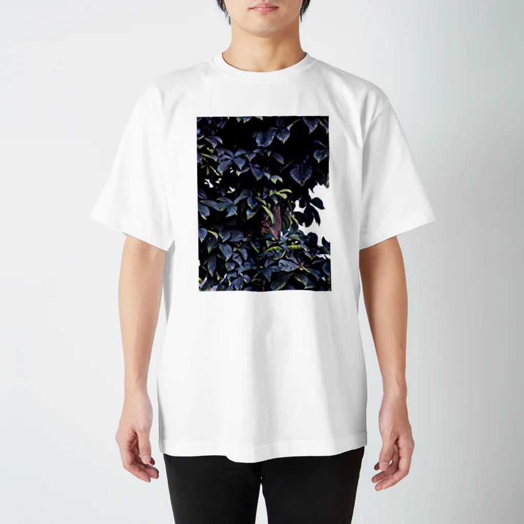 琴璃屋のベニバナトチノキ スタンダードTシャツ