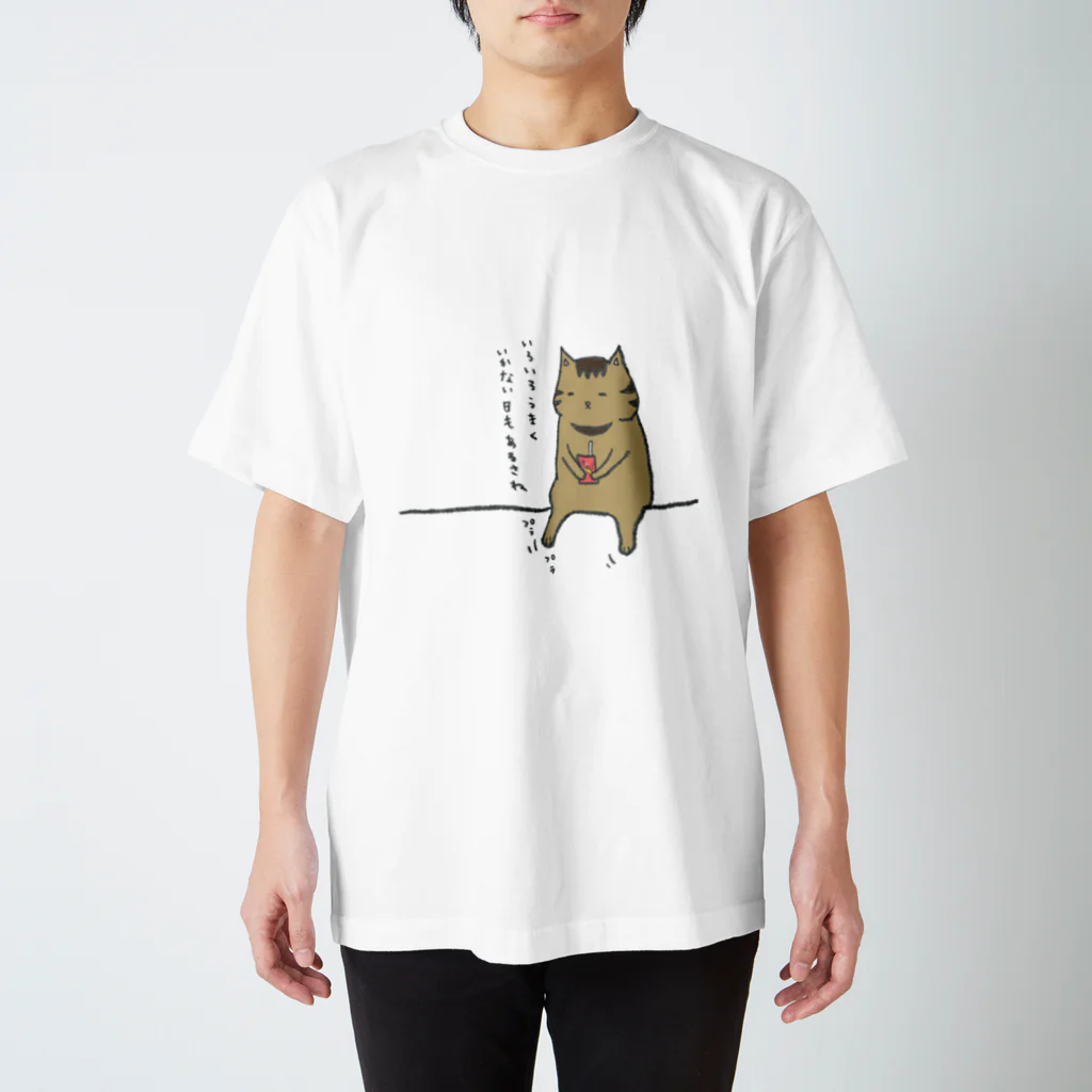 いろはねこのいろんな日が、あるさね スタンダードTシャツ