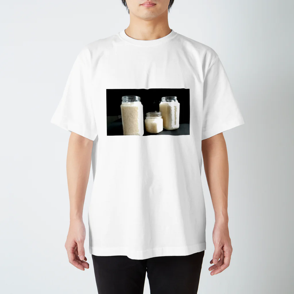 日常ピックアップの塩麹 Regular Fit T-Shirt