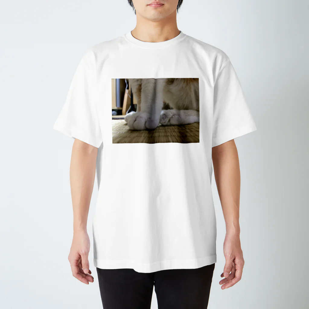 きよみのしろの脚 Regular Fit T-Shirt