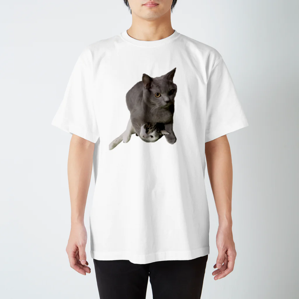 ぷぅみのホールディングねこちゃん Regular Fit T-Shirt